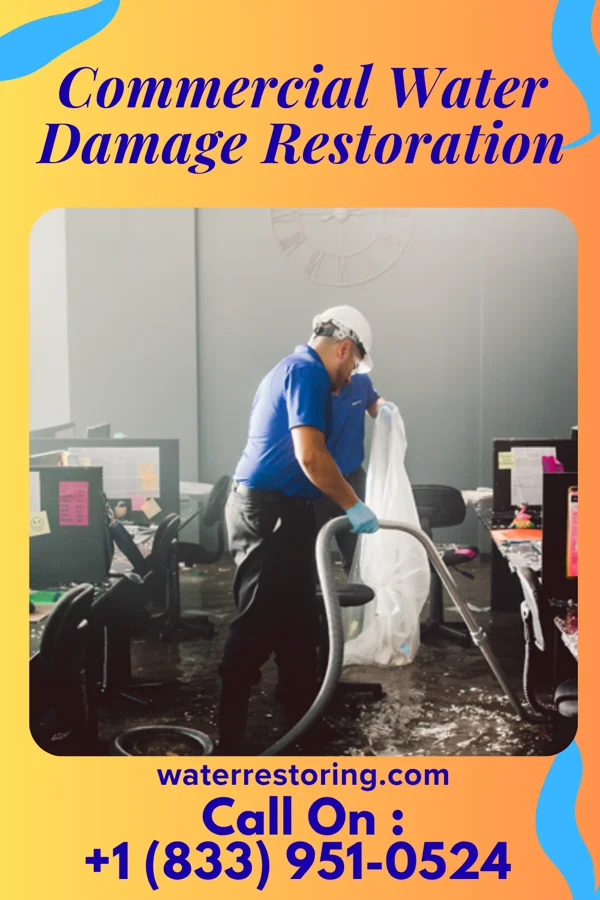 Commercial Water Damage Restoration in Ferndale, MD