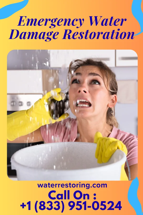 Emergency Water Damage Restoration in Ferndale, MD